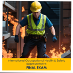 International HSE Representative